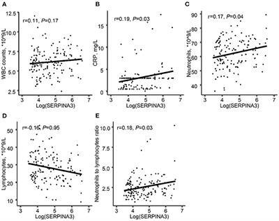 The Association and Pathogenesis of SERPINA3 in Coronary Artery Disease